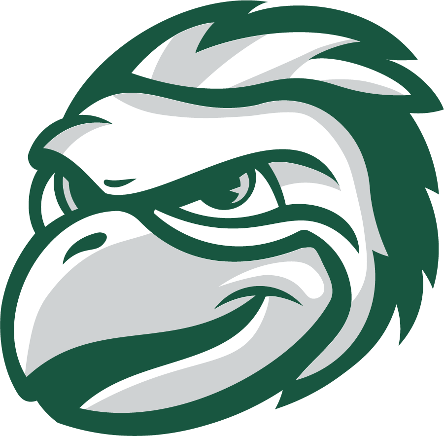 Wisconsin-Green Bay Phoenix 2020-Pres Mascot Logo v2 diy DTF decal sticker